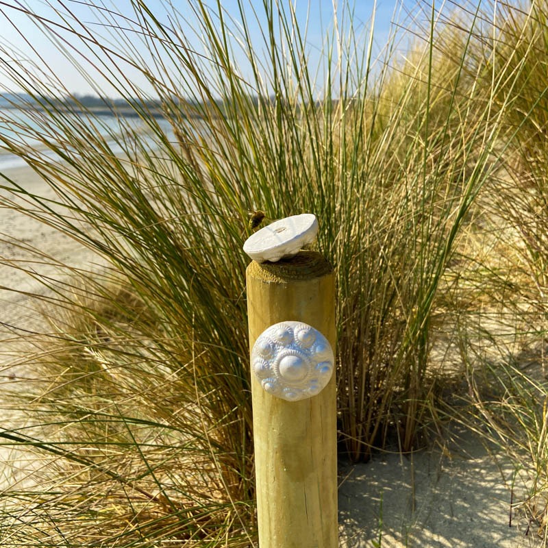 Zeeuwse knop magneetknopje Ø 5cm | parelmoer