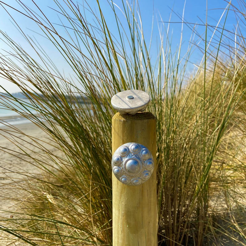 Zeeuwse knop magneetknopje Ø 5cm | zilver