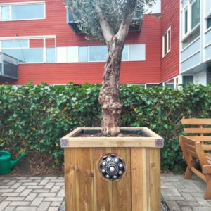 Zeeuwse knop houten bloembak.
